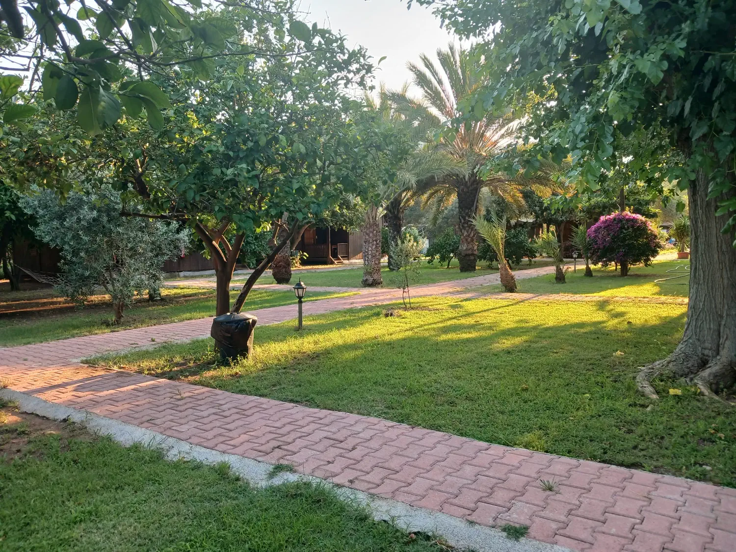 Deniz Pension - Çıralı