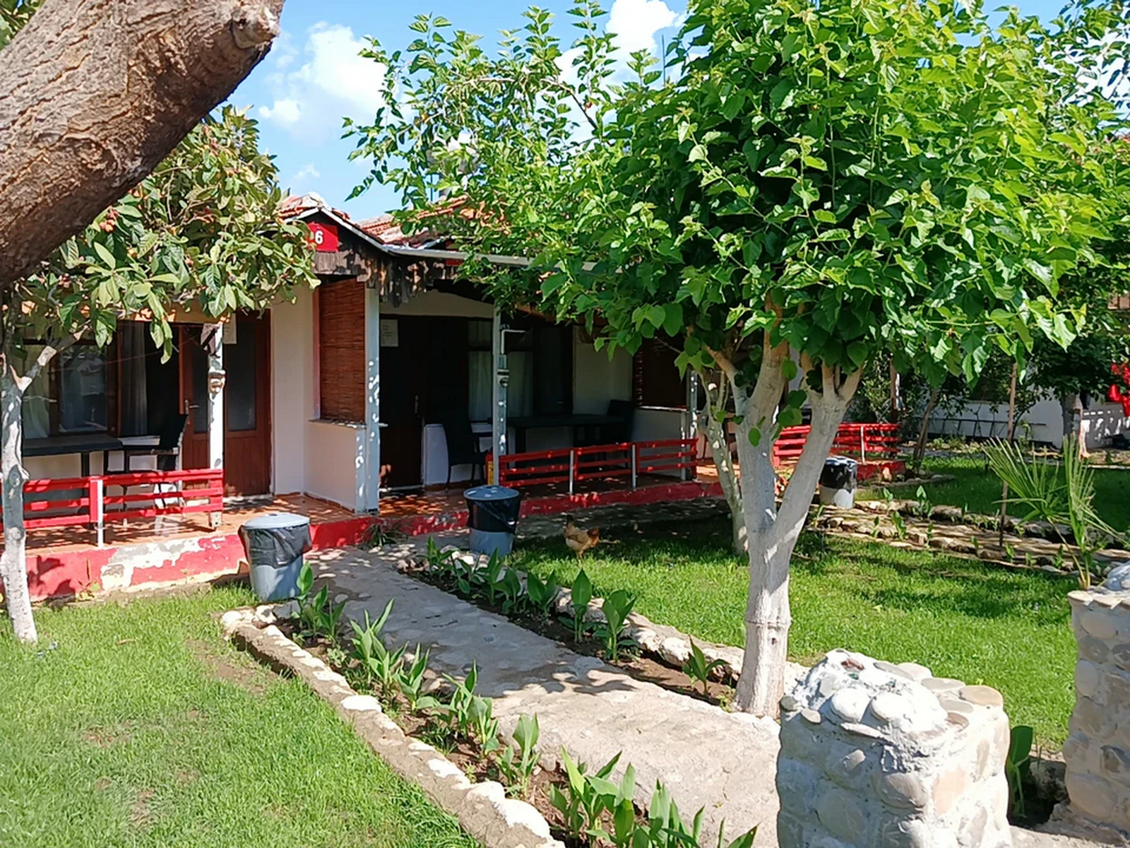 Çıralı'da sahile 50 mt mesafede nefis yemekler ve minik bungalowda konaklama